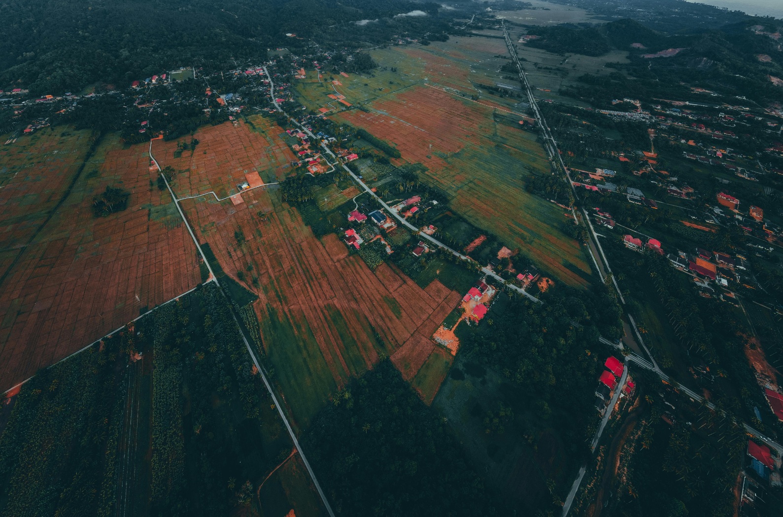 Land Consultancy