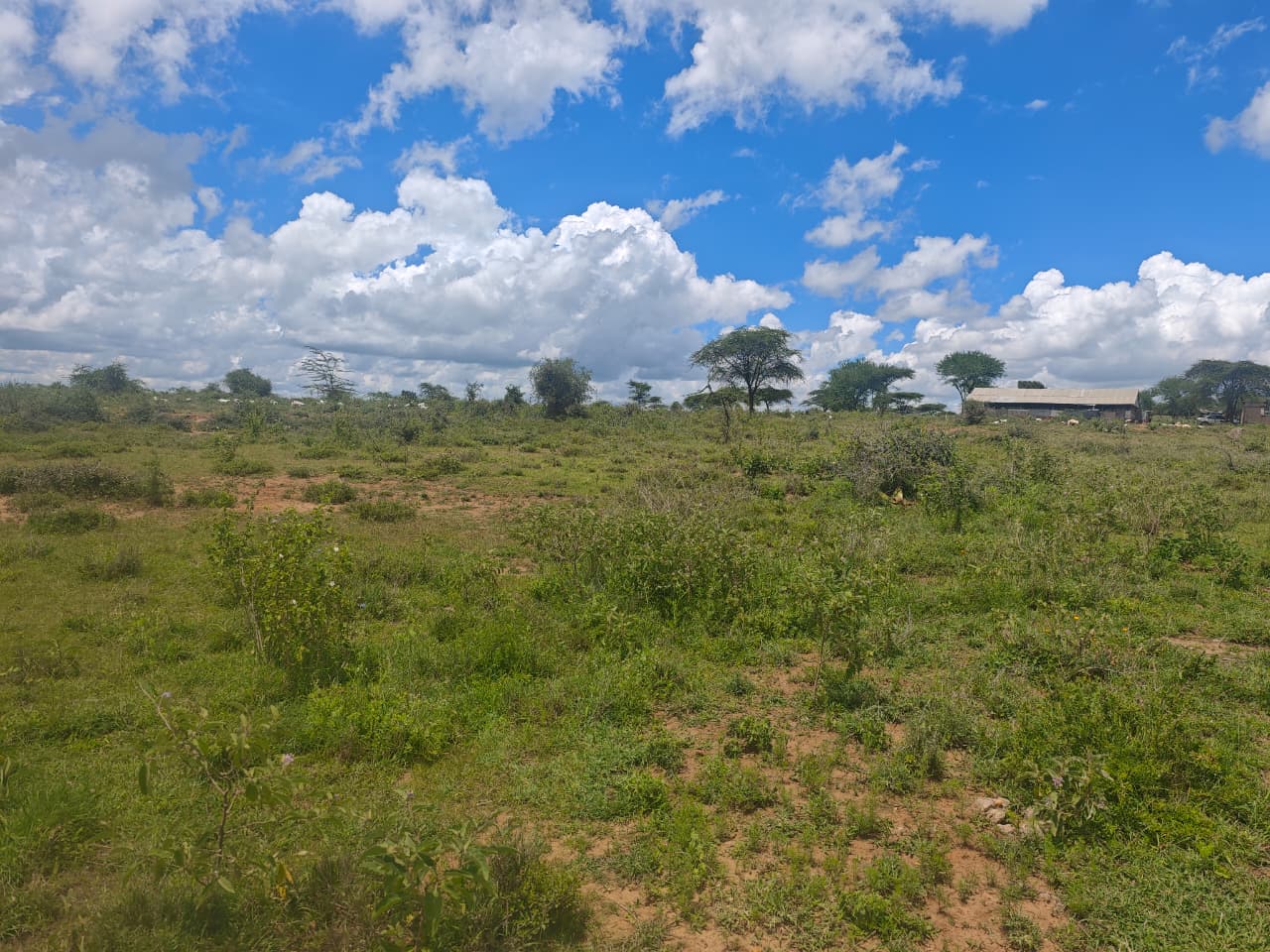 Athi River Mavoko 1
