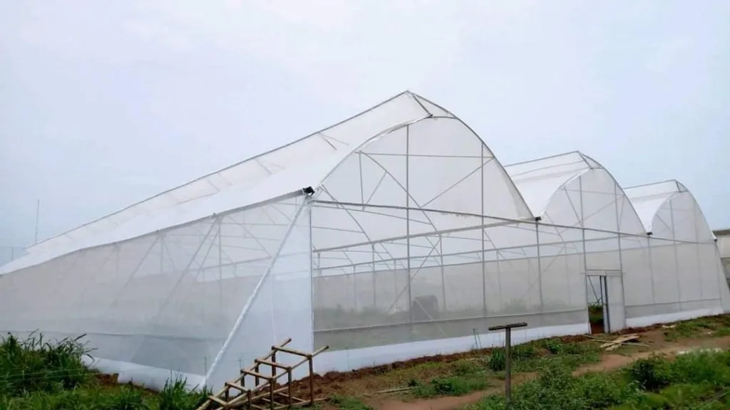 Metallic Greenhouse Solutions