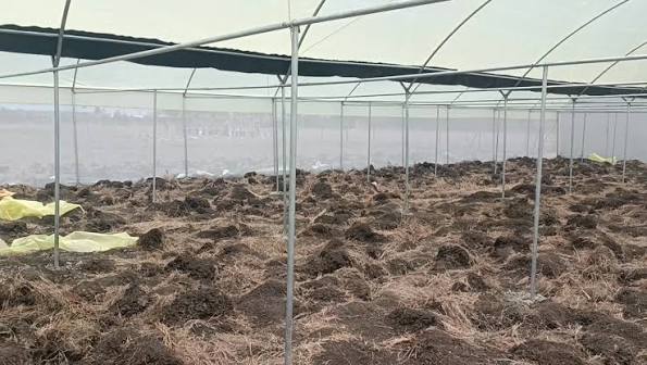 Metallic Greenhouse
