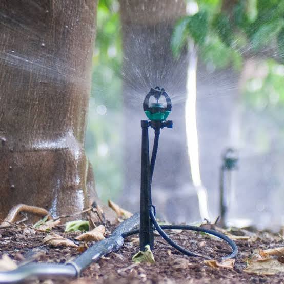 Sprinkler Irrigation
