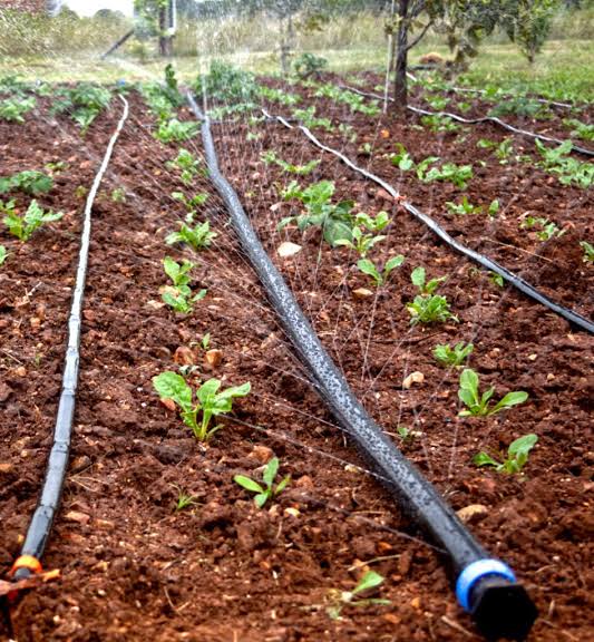 Rainhose Irrigation