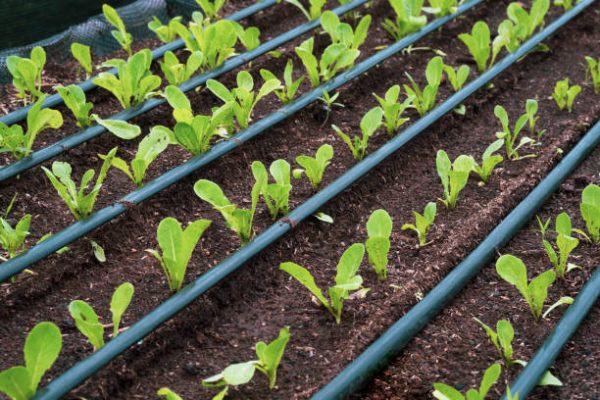 Irrigation Solutions