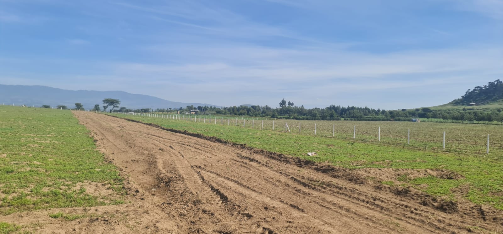Naivasha 4