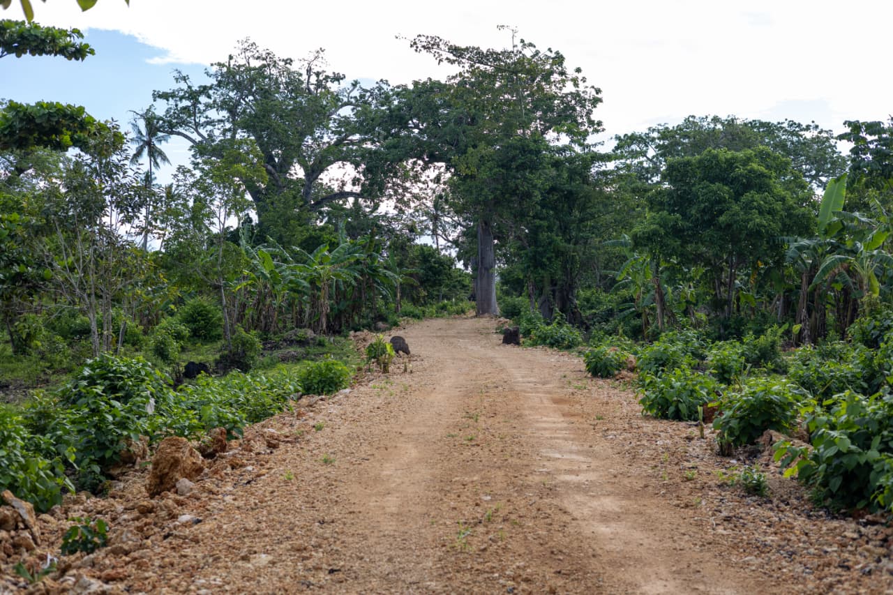 Diani 9