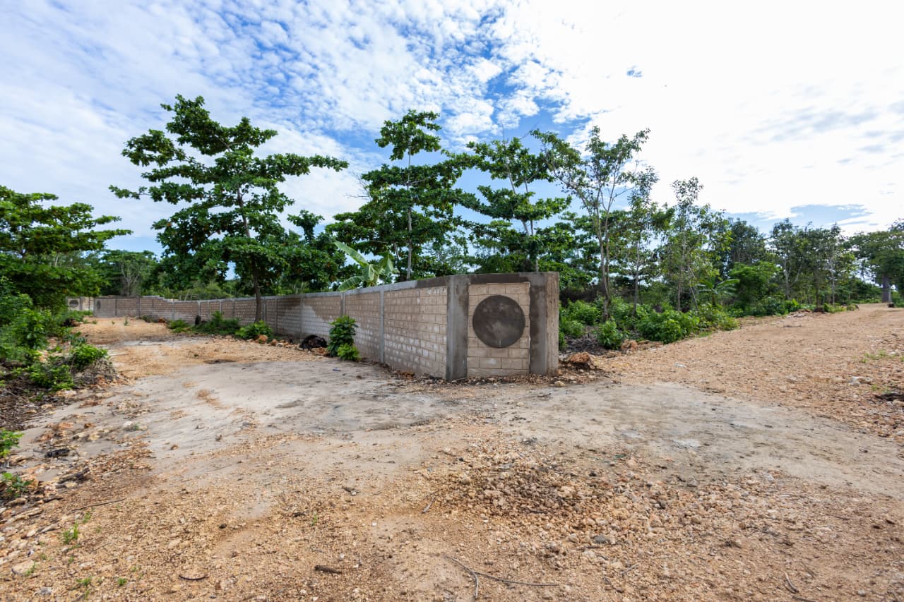 Diani 8