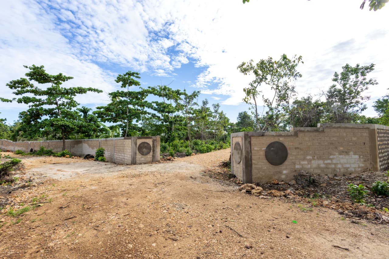 Diani 4